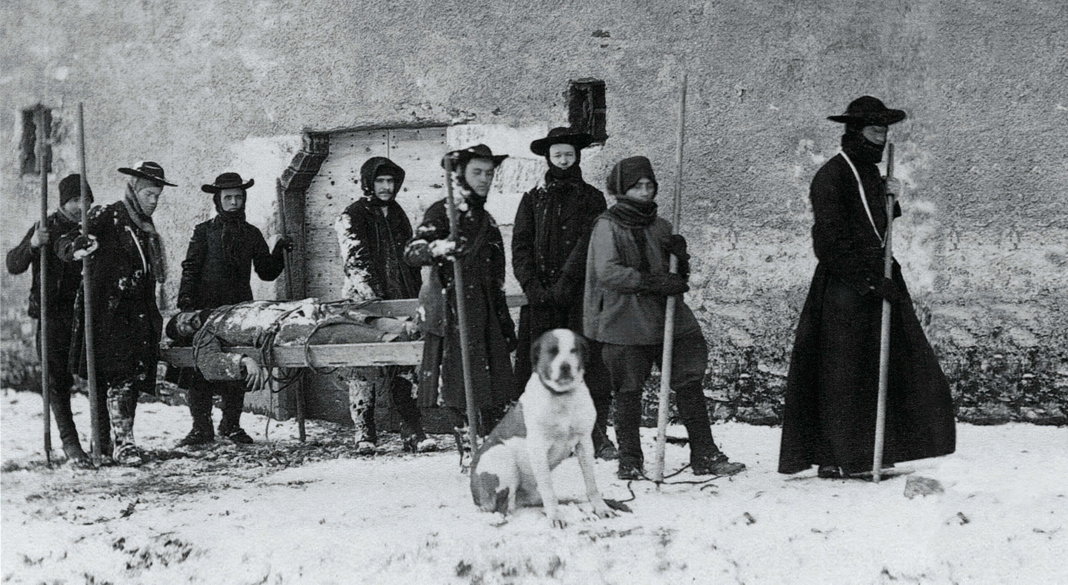 Schwarz-Weiß-Bild Bernhardiner im Schnee